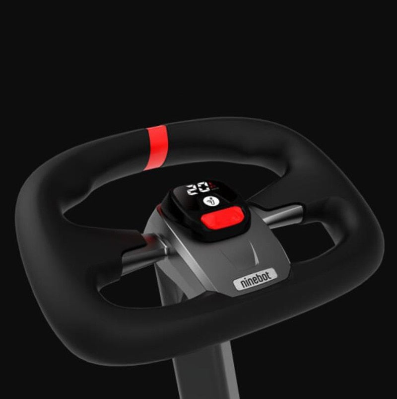 Original Self-Balancing For Segway Ninebot.