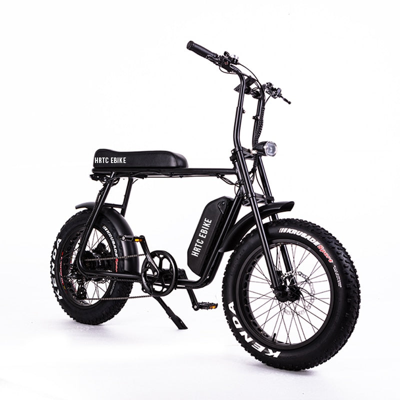 48V 1000w Bafang motor Super Power Electric E-bike Retro Design 7 Speed snow / beach ebike