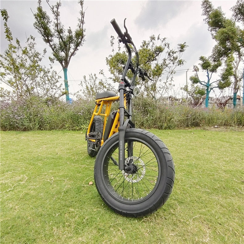 48V 1000w Bafang motor Super Power Electric E-bike Retro Design 7 Speed snow / beach ebike