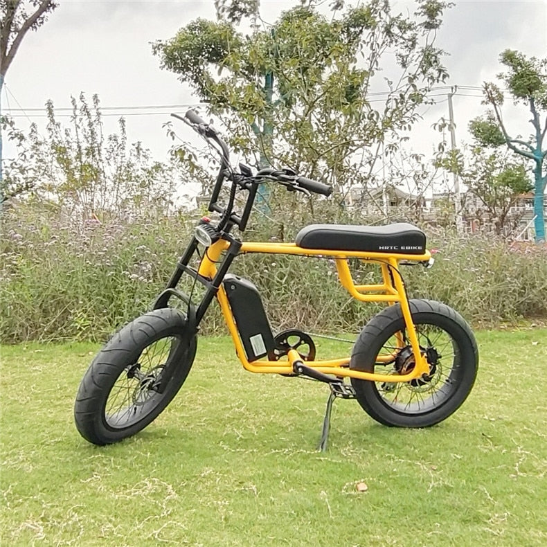 48V 1000w Bafang motor Super Power Electric E-bike Retro Design 7 Speed snow / beach ebike