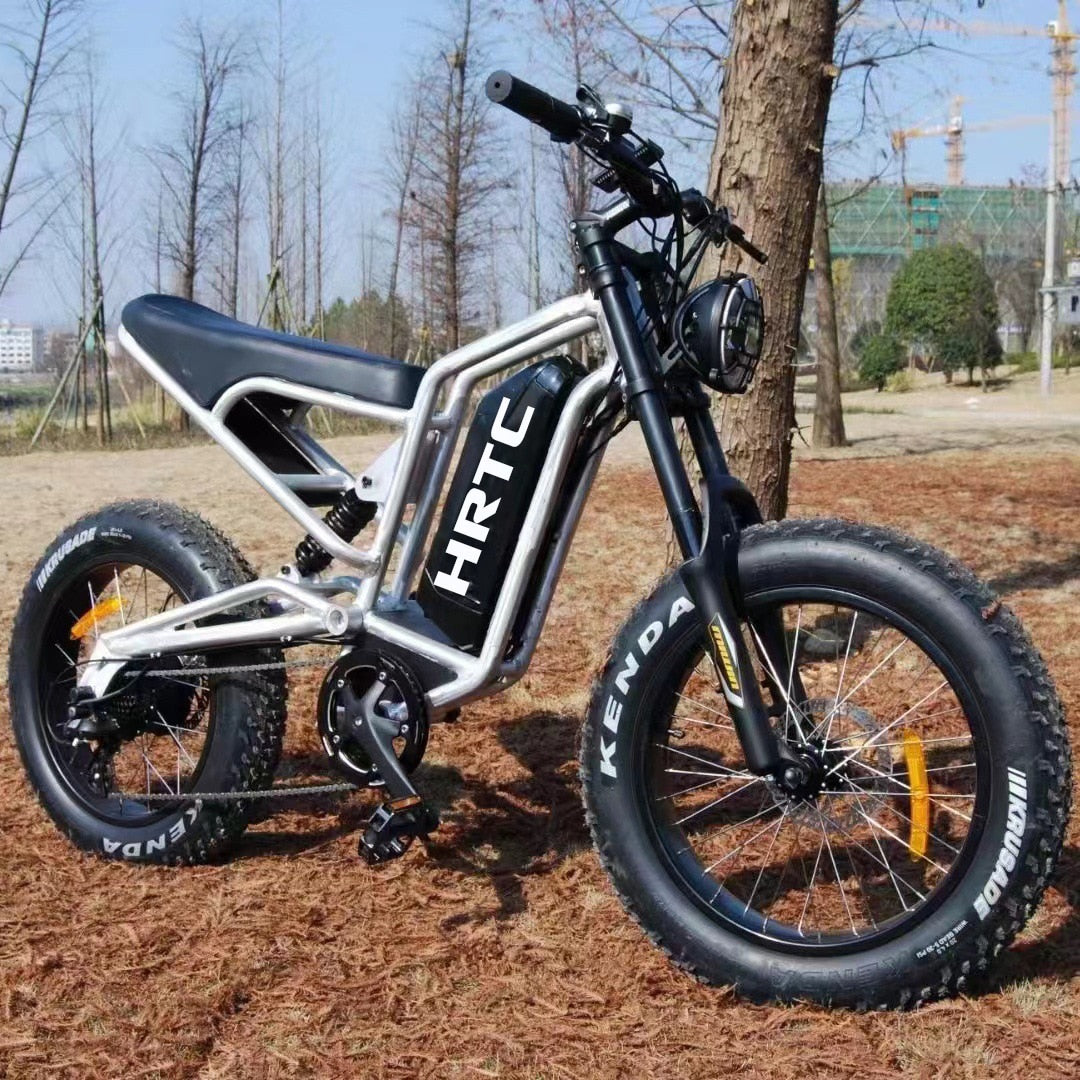 20 inch off-road moped wide tire lithium battery snowmobile mountain bike electric bicycle 48V snow fertilizer tire bicycle