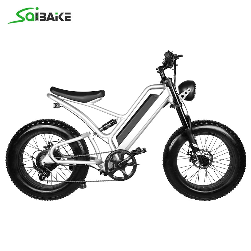 Electric Bike 1000W Ebike 48V 10Ah 16Ah Electric Bicycle Fat Tire Bike 7 Speed Mountain Bike For Adult Motorcycle Bicycle