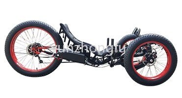 3 Wheel Rugged Terrain Fat Tire Travelling Electric Recumbent Road Bike